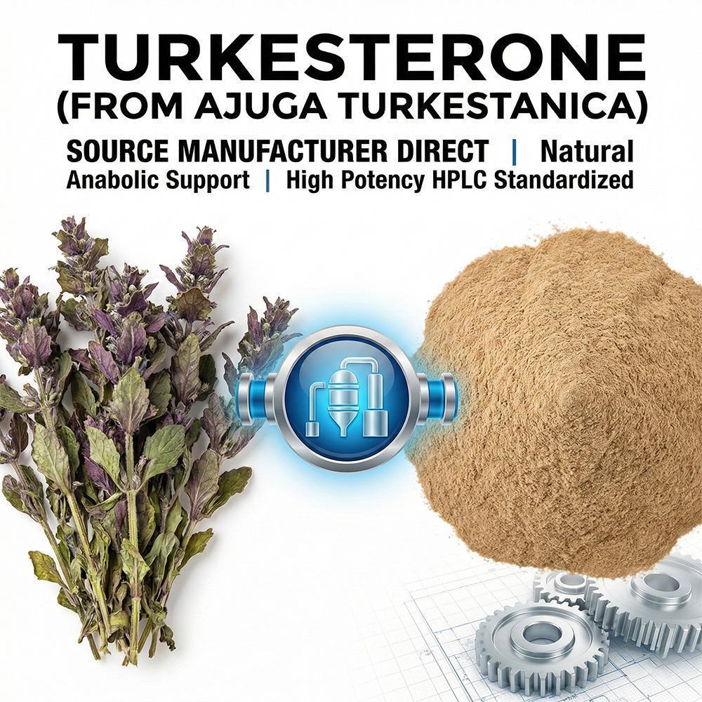 Ecdysone Extract Powder