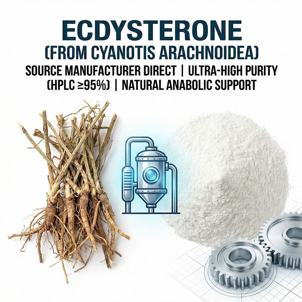 Ecdysterone Extract Powder