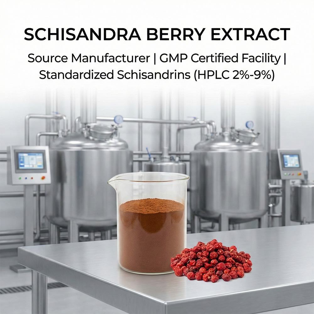 Schisandra Extract