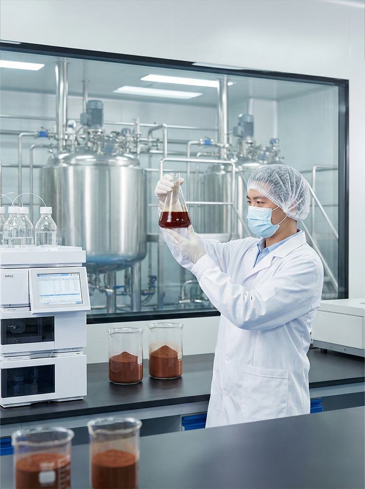 Schisandra Extract product detail image 8