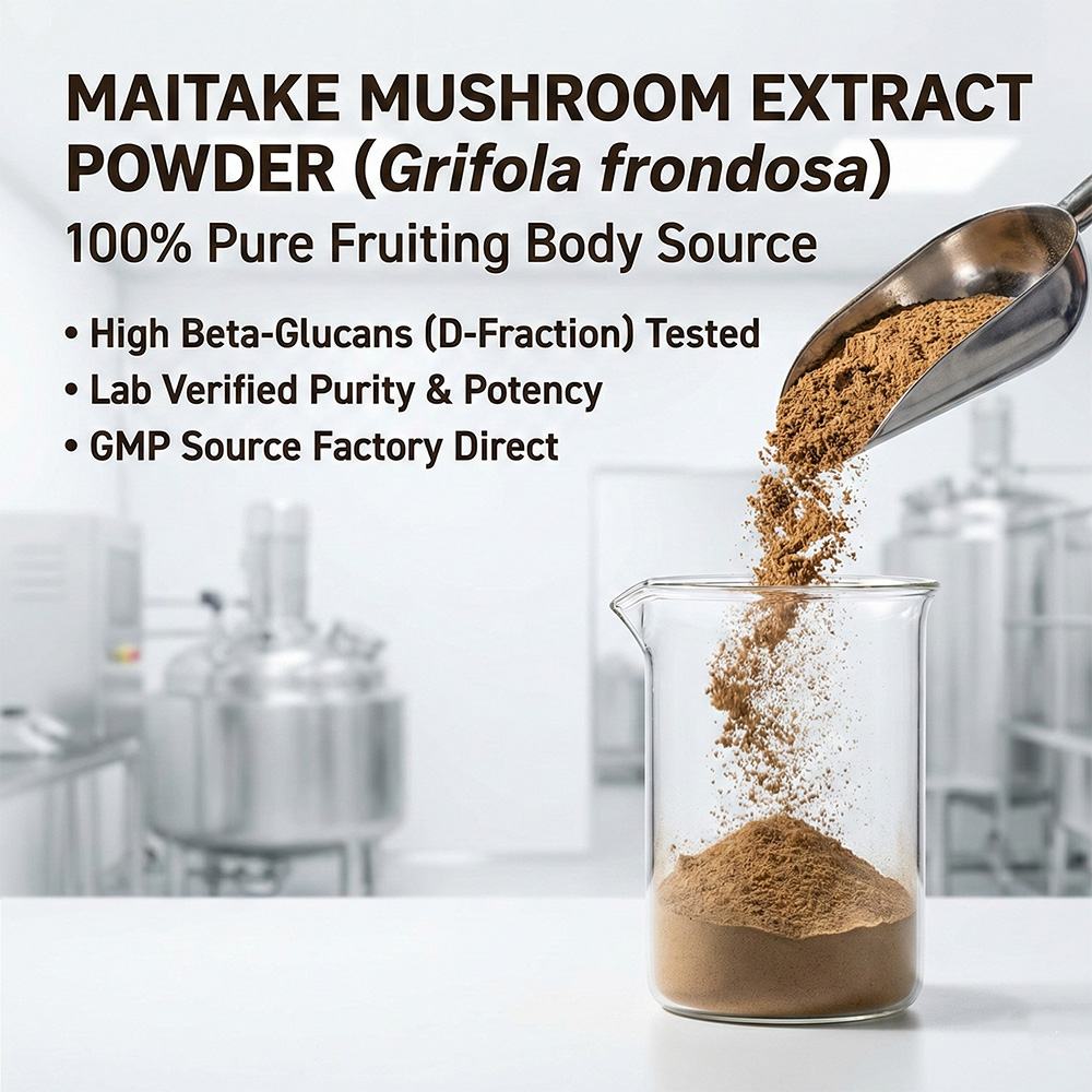Maitake Mushroom Powder