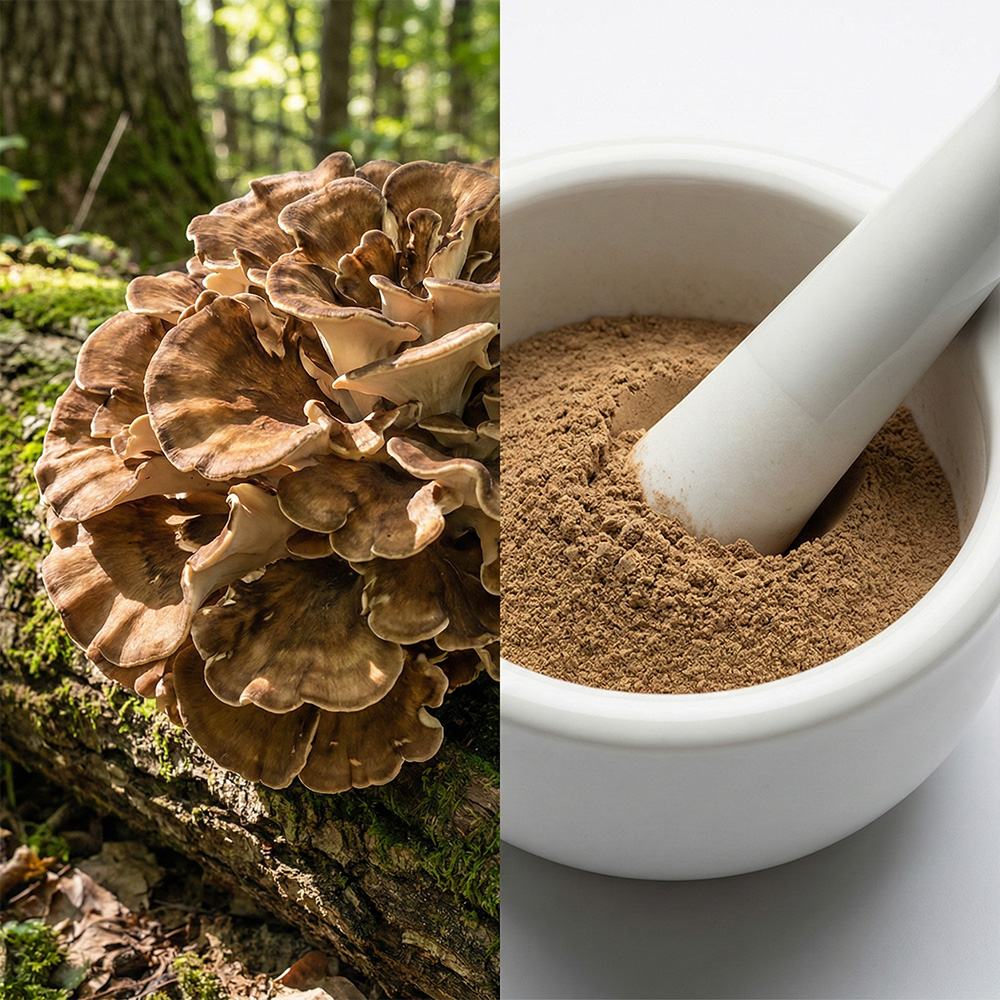 Maitake Mushroom Powder product detail image 2