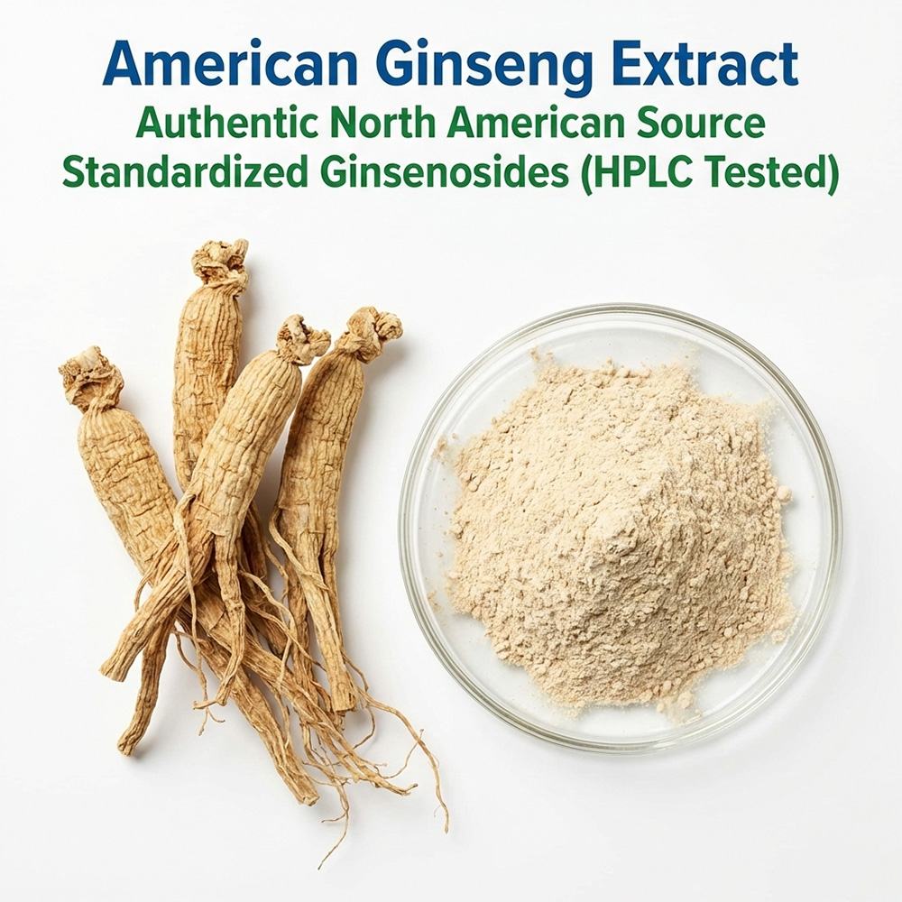 American Ginseng Extract