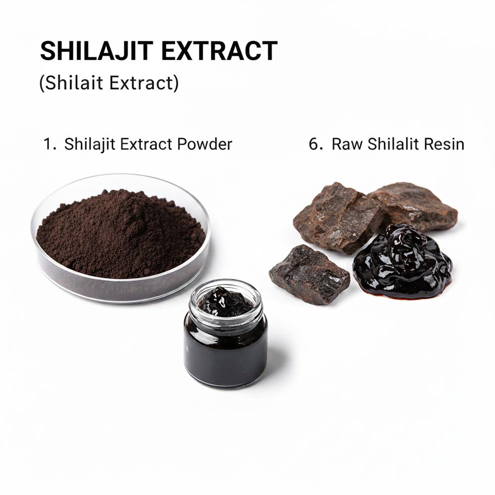 Shilajit Extract