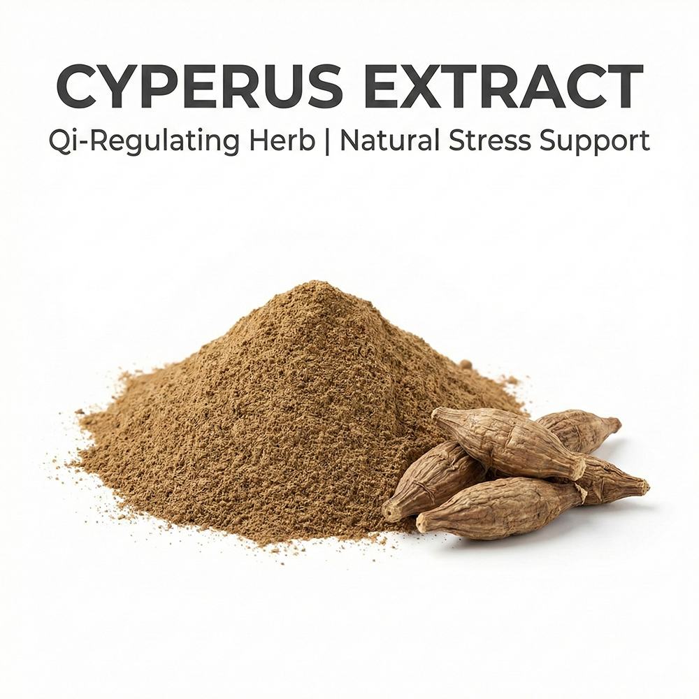 Cyperus Rotundus Root Extract
