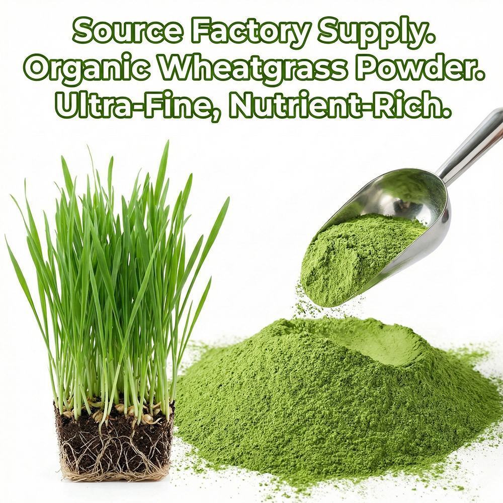 Wheatgrass Powder