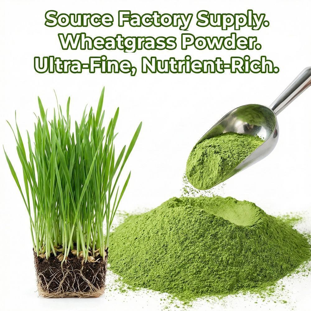 Wheatgrass Powder product detail image 5