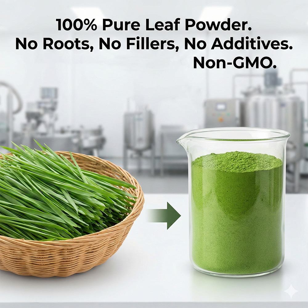 Wheatgrass Powder product detail image 6