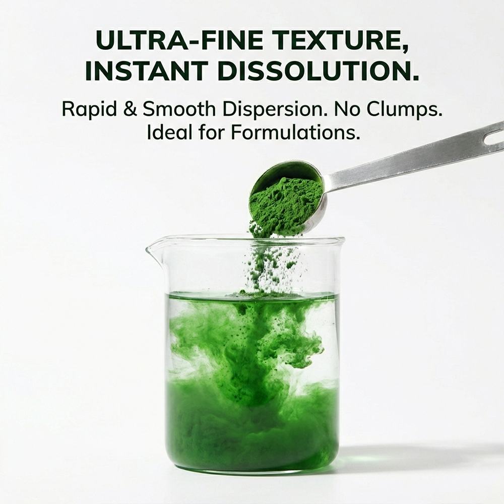 Chlorella Powder product detail image 3