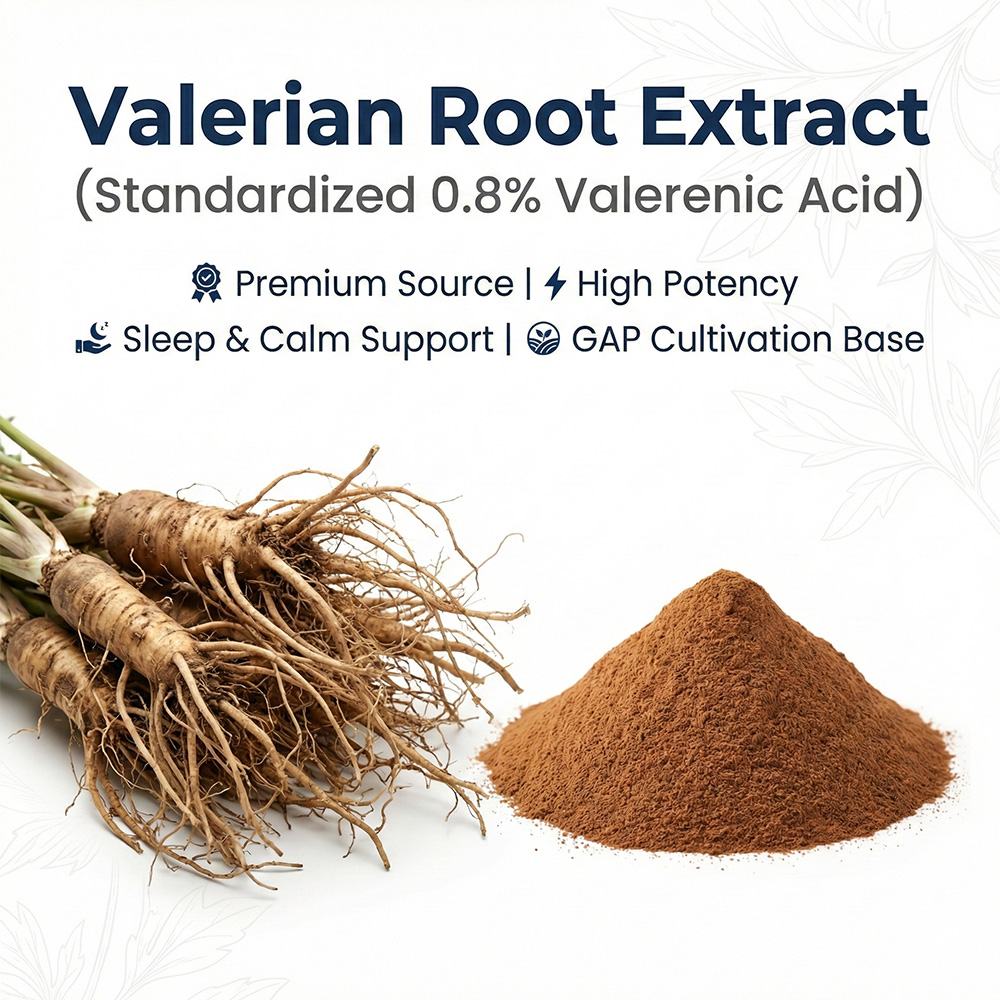 Valerian Root Extract