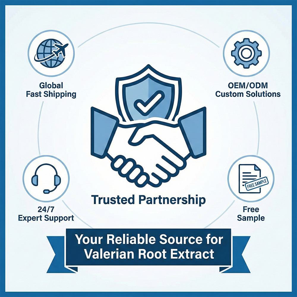 Valerian Root Extract product detail image 5