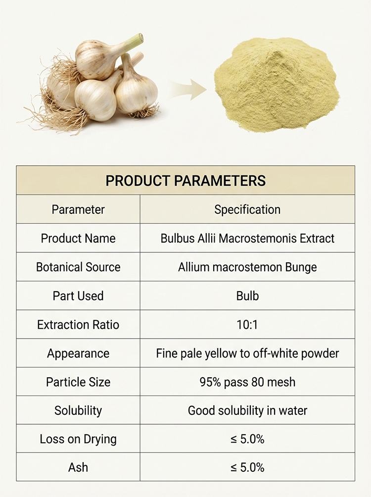 Allium Macrostemon Extract product detail image 7