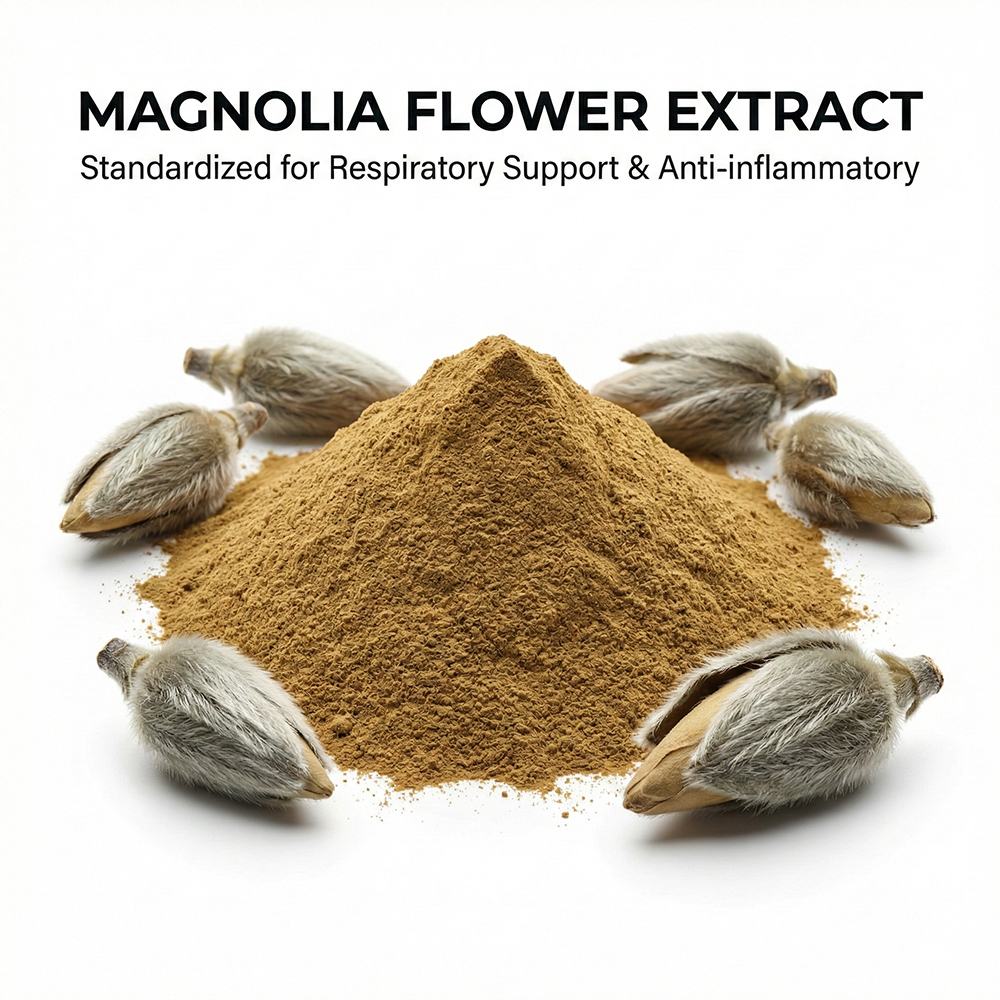 Magnolia Flower Bud Extract