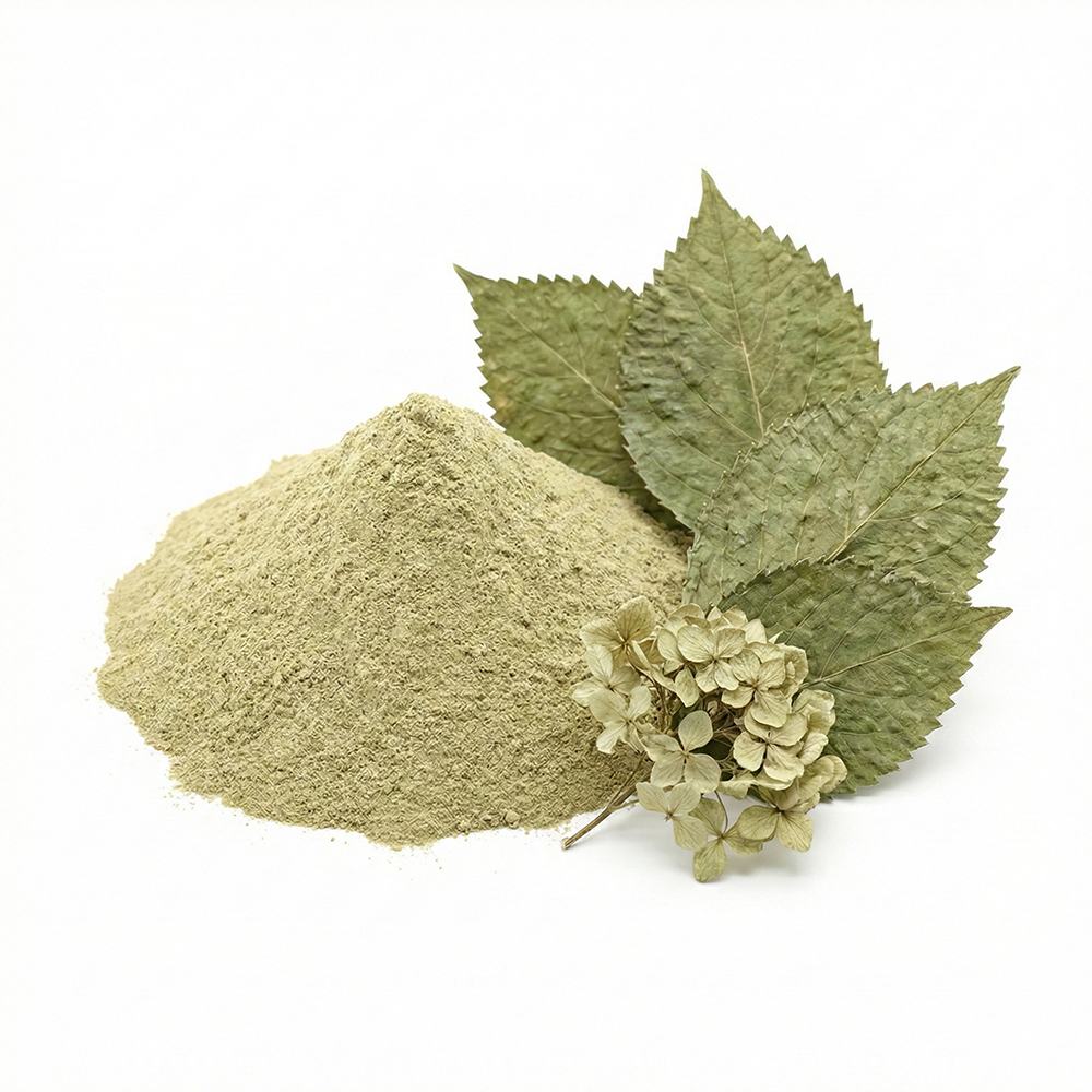 Hydrangea Serrata Leaf Extract