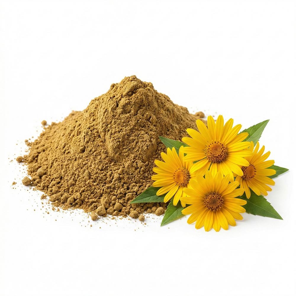 Inula Japonica Flower Extract