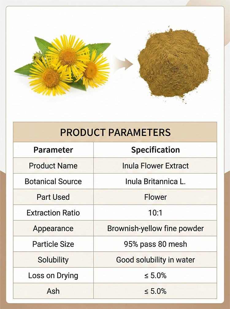 Inula Japonica Flower Extract product detail image 7