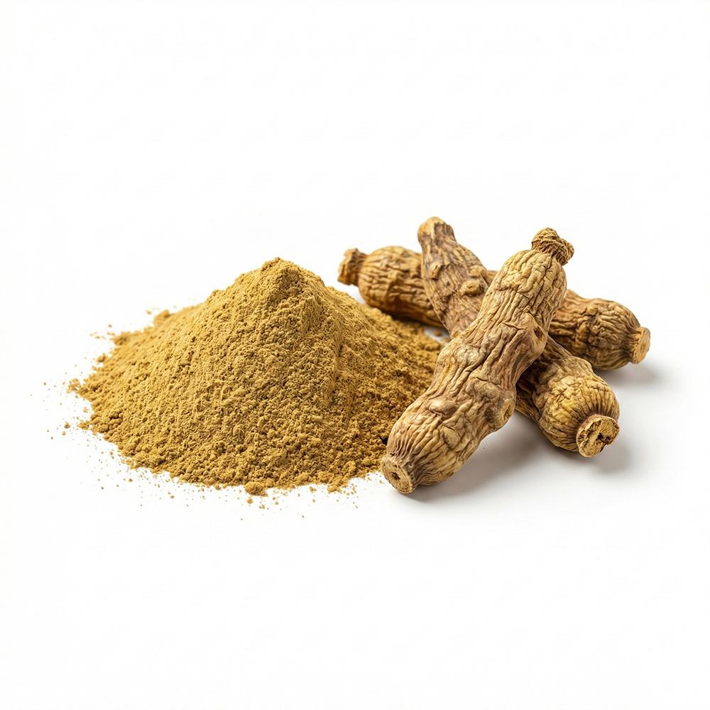 Corydalis Extract