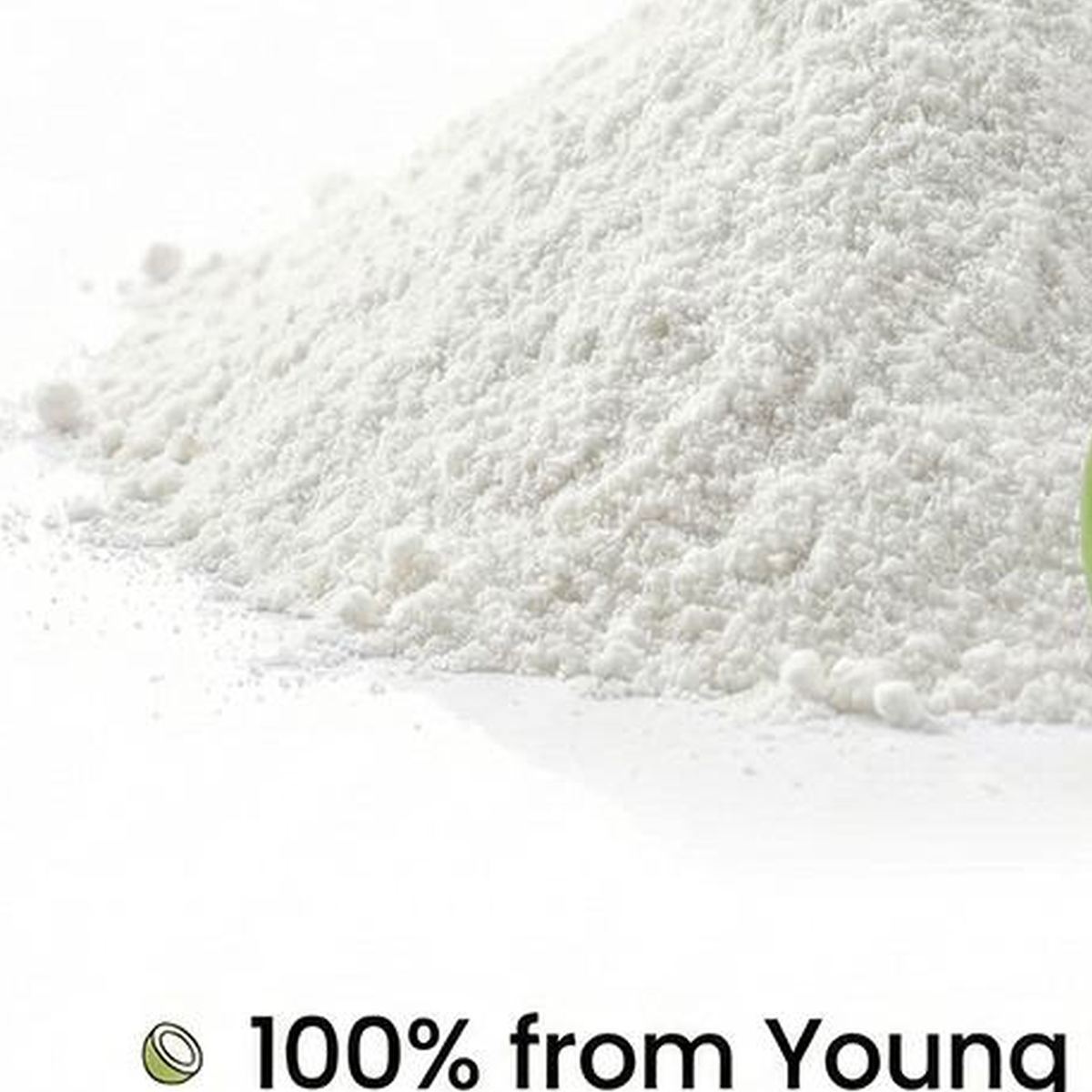 Coconut Water Powder for Bulk Ingredient Sourcing product detail image 5