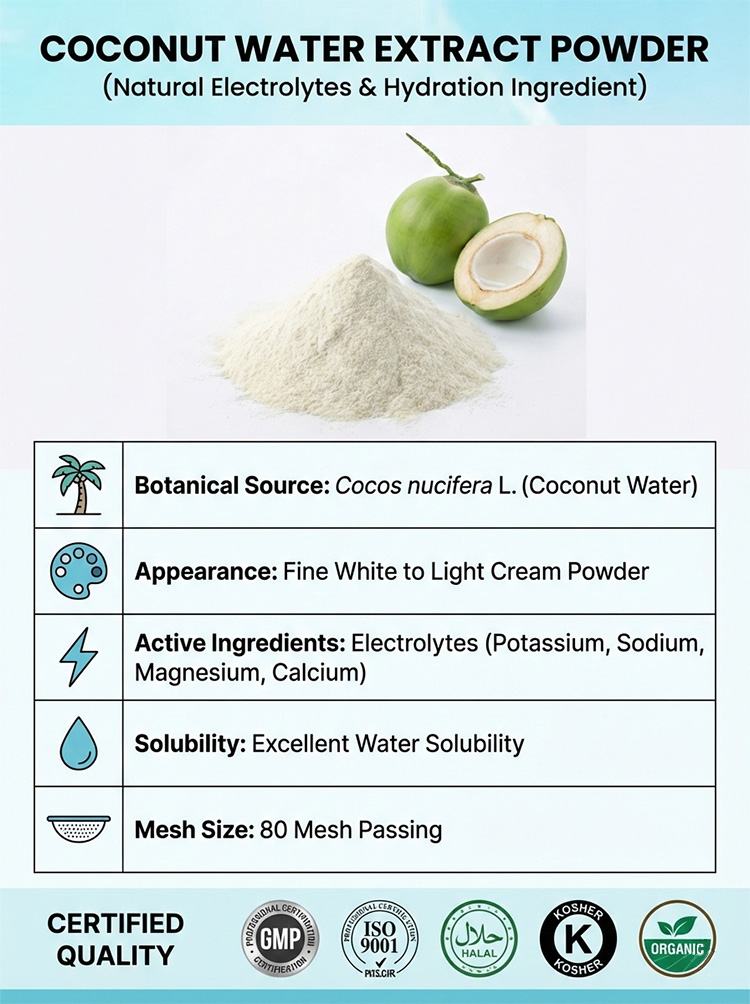Coconut Water Powder product detail image 7
