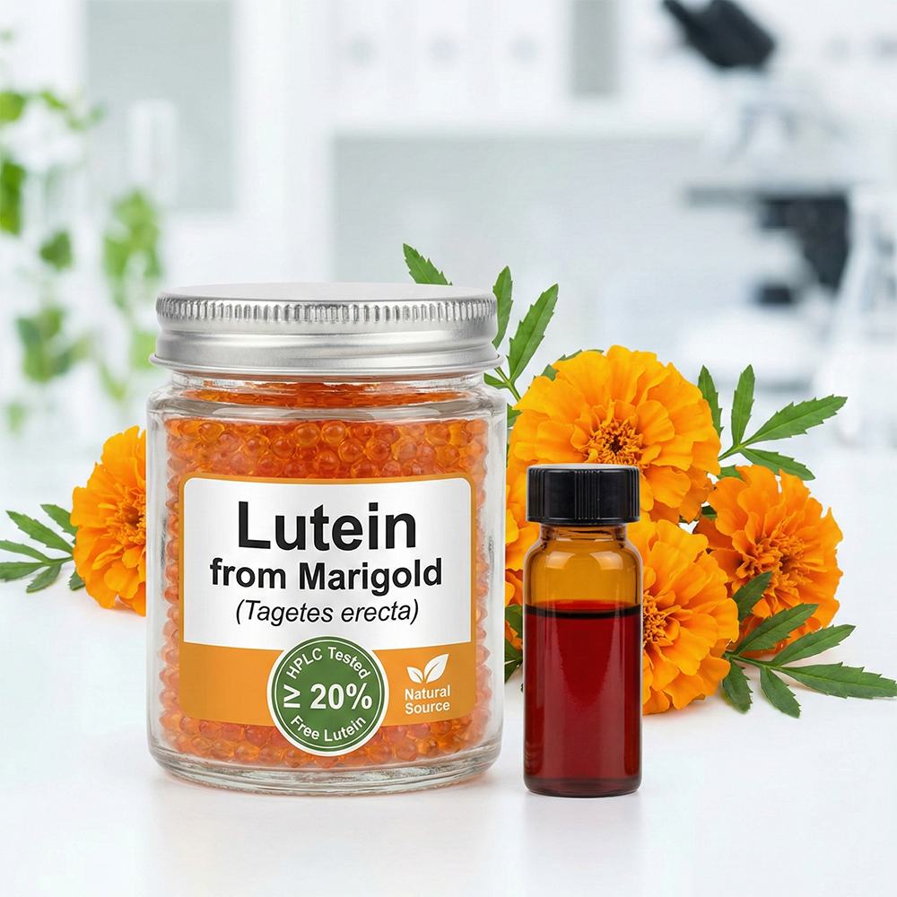 Lutein Extract Powder