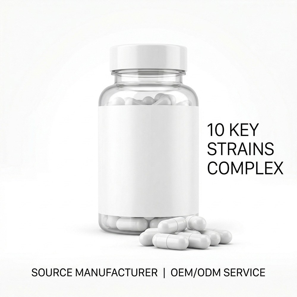 Probiotic Blend Powder for Bulk Ingredient Sourcing product main image
