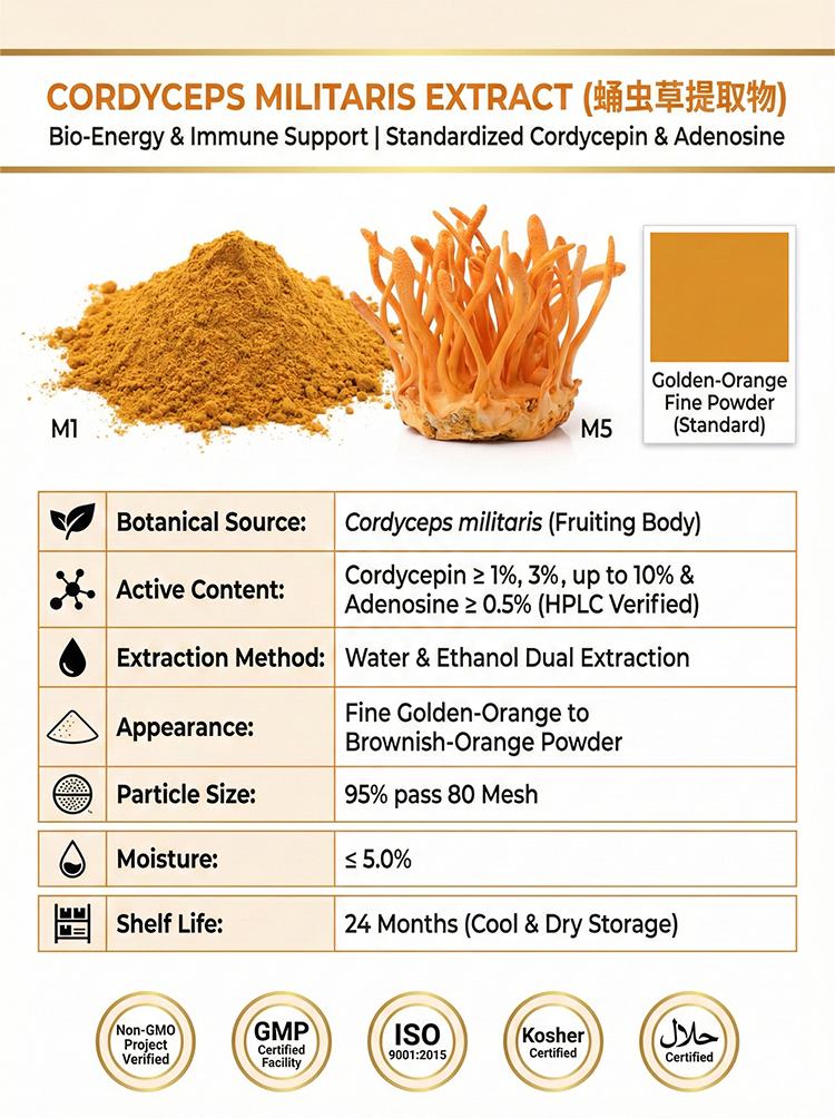 Cordyceps Militaris Extract product detail image 7