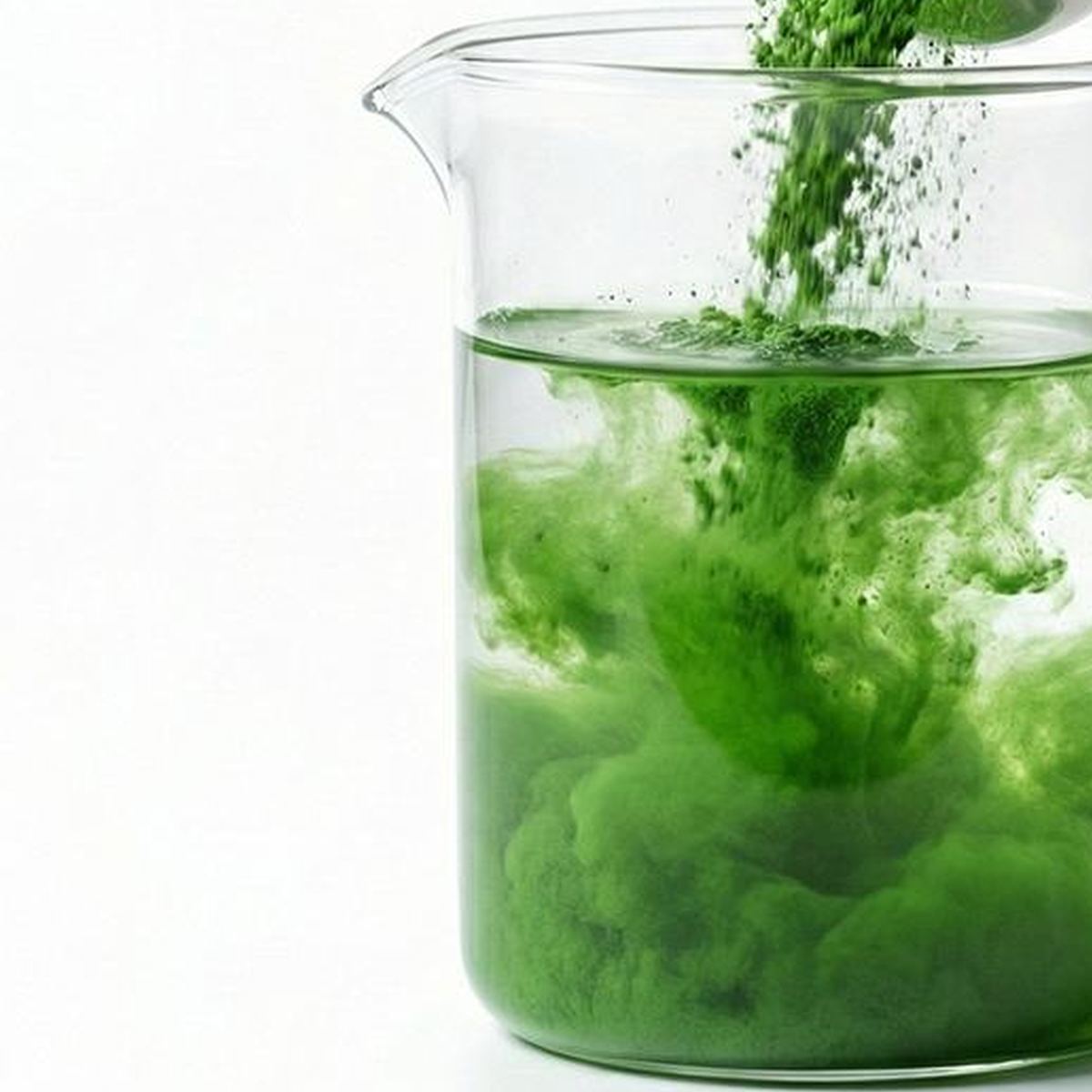 Kale Powder for Bulk Ingredient Sourcing product detail image 2