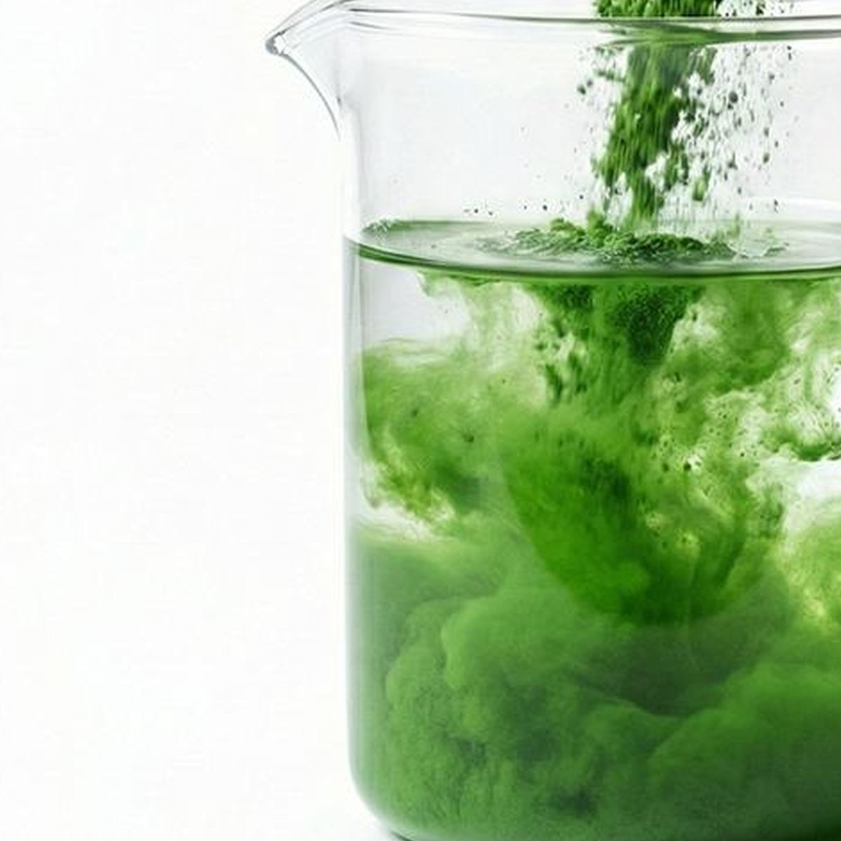 Kale Powder for Bulk Ingredient Sourcing product detail image 3