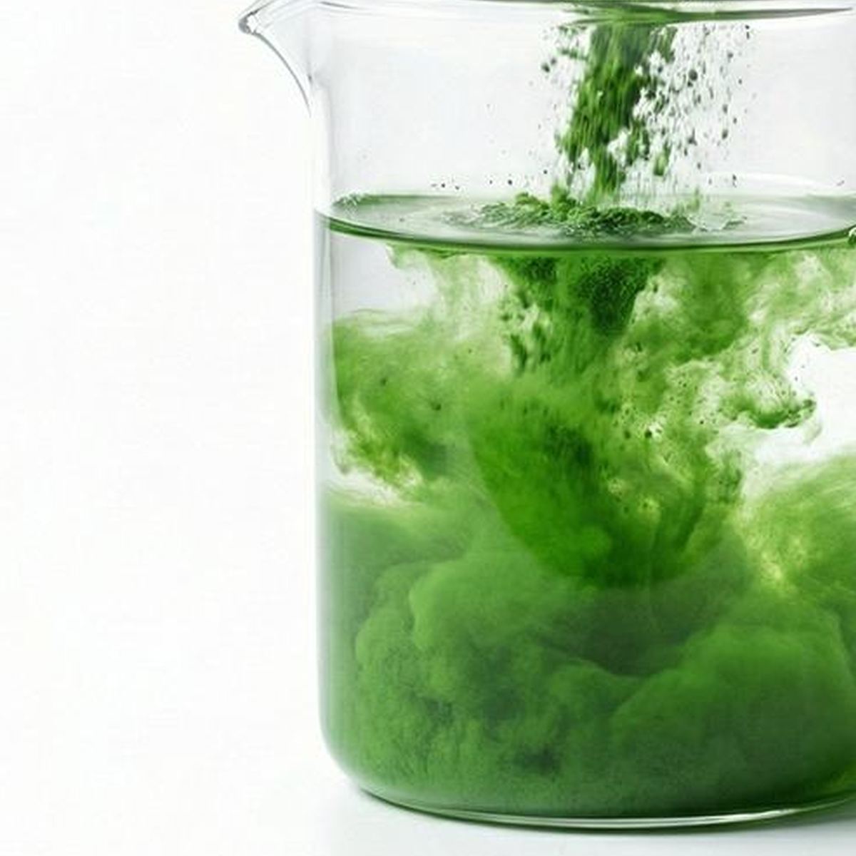 Kale Powder for Bulk Ingredient Sourcing product detail image 5