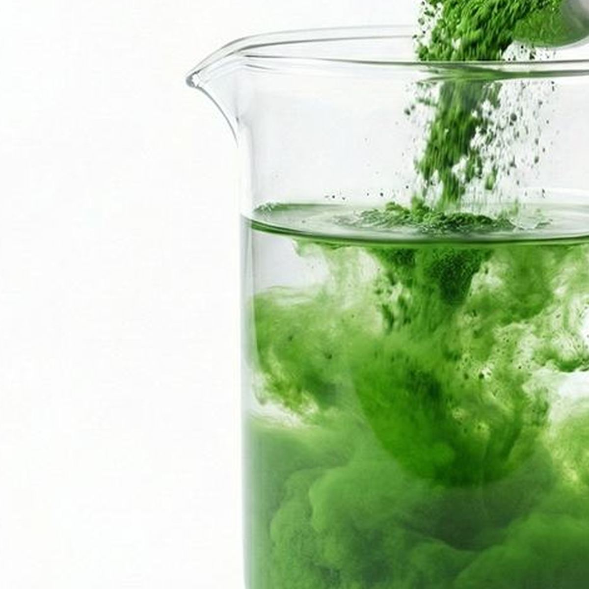 Kale Powder for Bulk Ingredient Sourcing product detail image 6