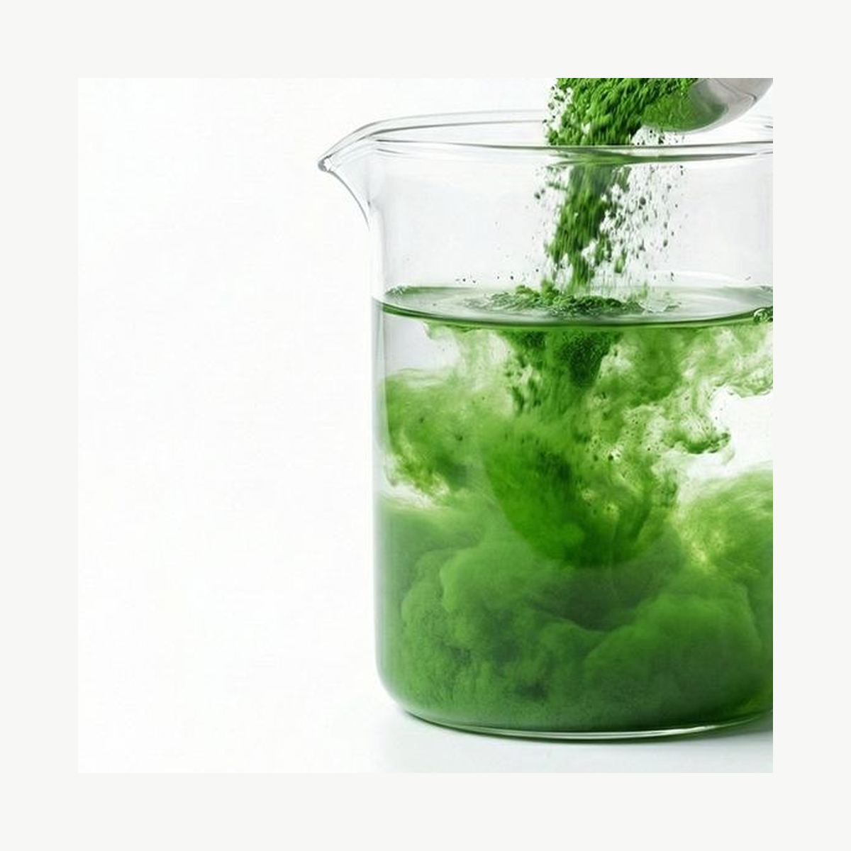 Kale Powder for Bulk Ingredient Sourcing product detail image 7