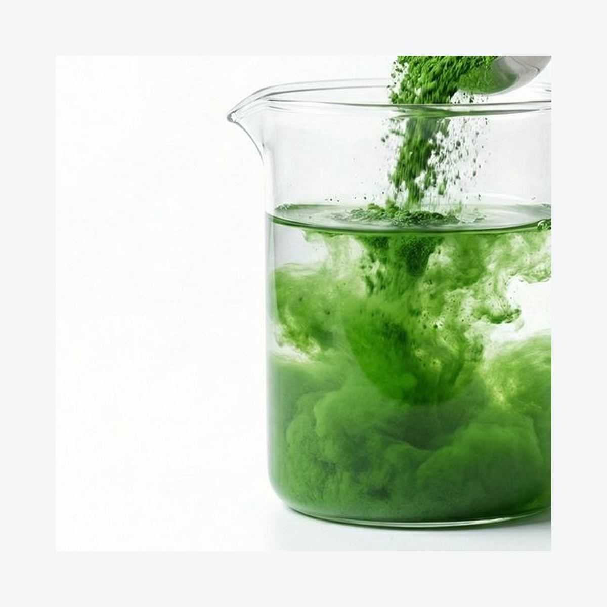 Kale Powder for Bulk Ingredient Sourcing product detail image 8