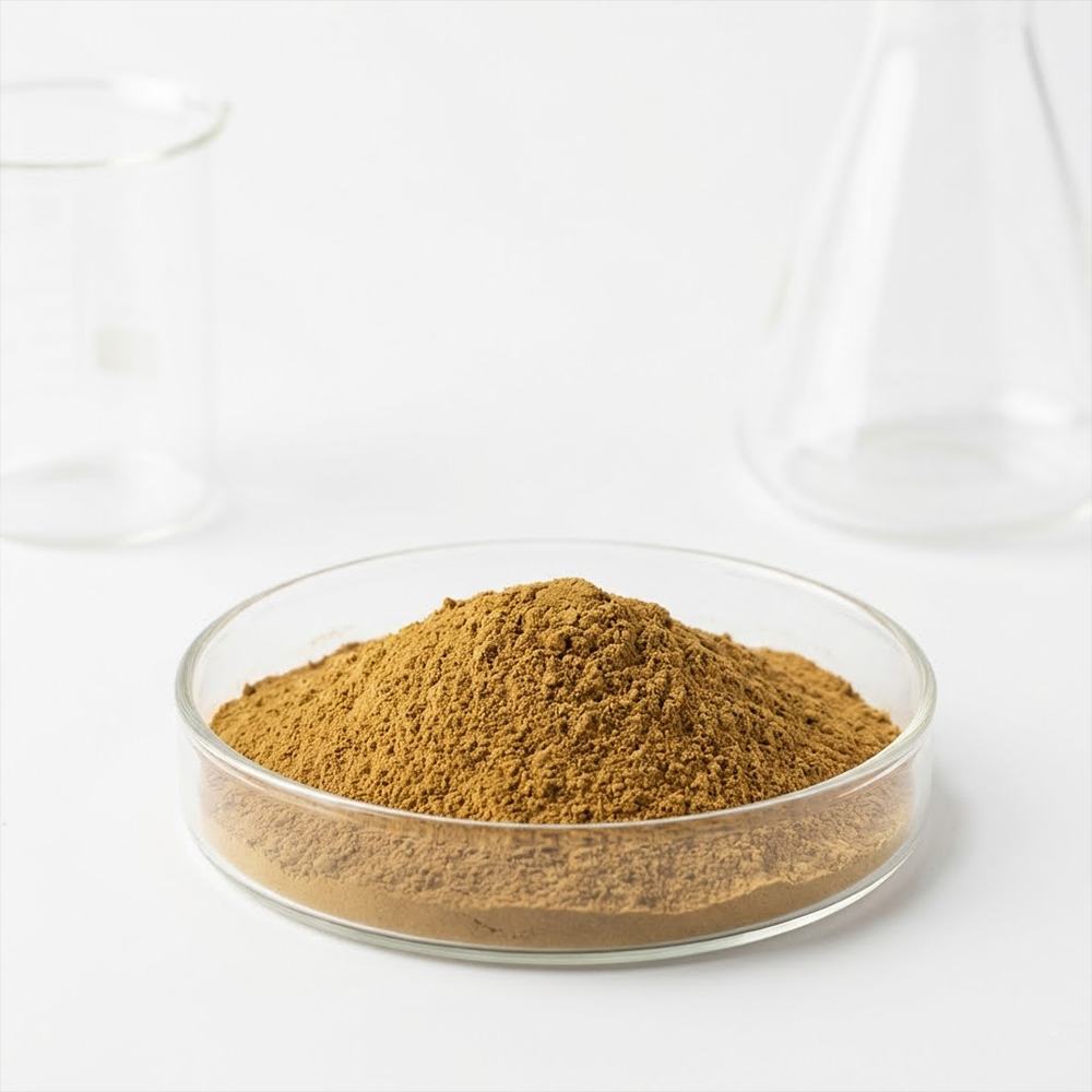 Corn Silk Extract
