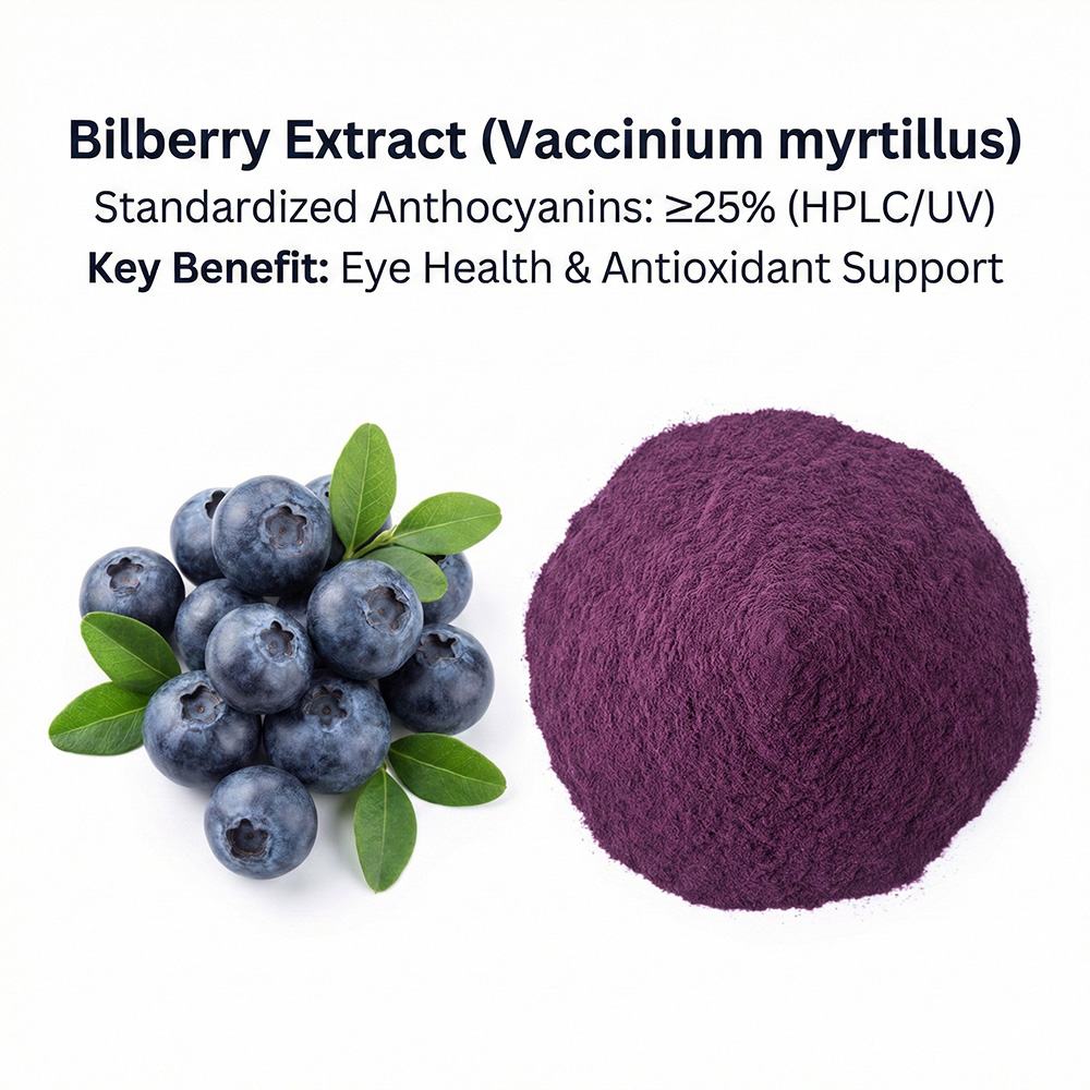Bilberry Extract