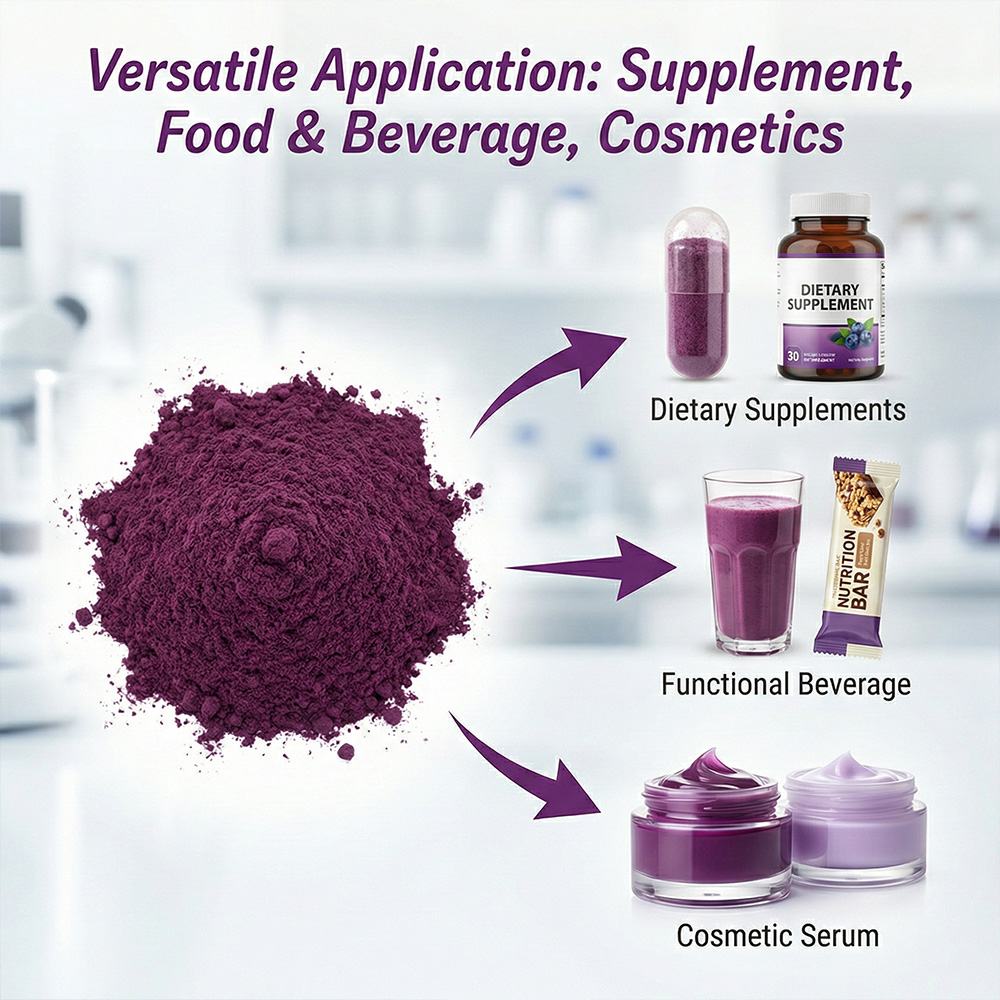 Bilberry Extract product detail image 3