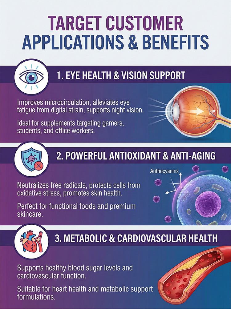Bilberry Extract product detail image 7