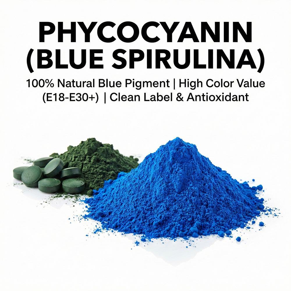 Phycocyanin Extract Powder