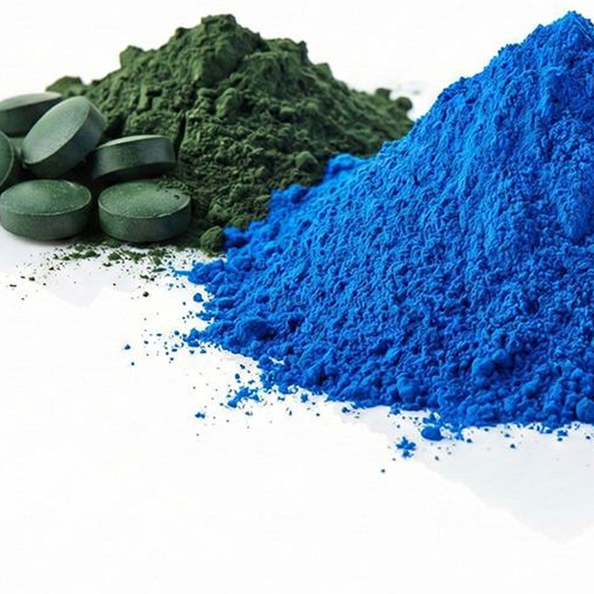 Phycocyanin Extract Powder for Bulk Ingredient Sourcing product detail image 2