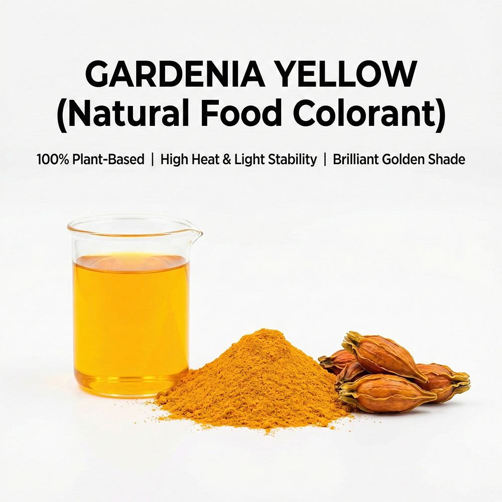 Gardenia Yellow