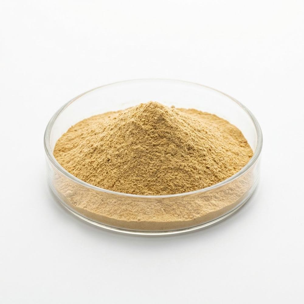 Citrus Aurantium Fruit Extract