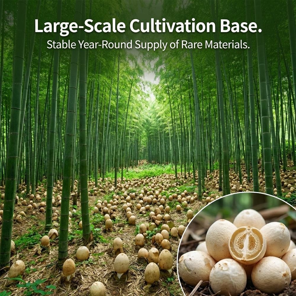 Bamboo Fungus Powder product detail image 2
