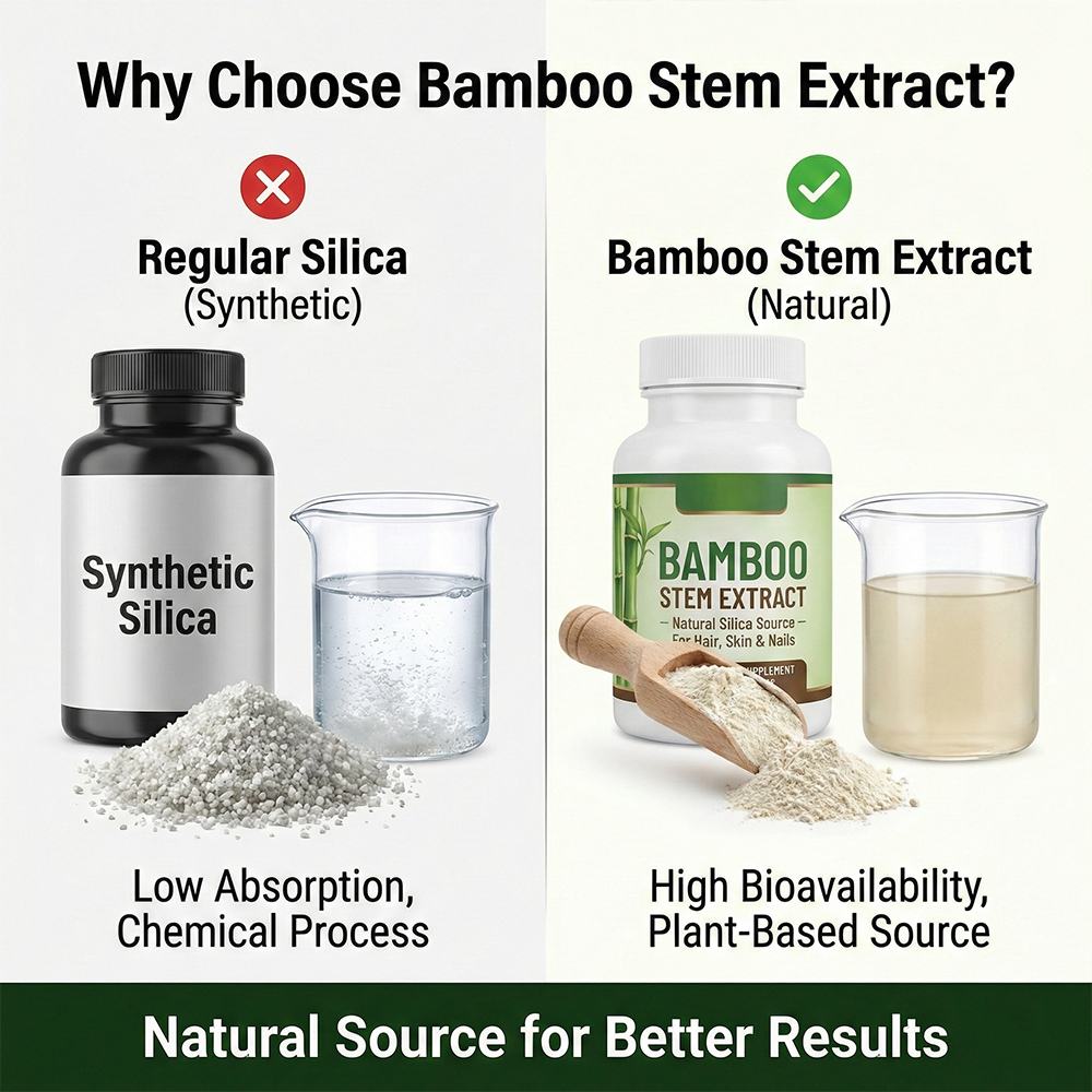 Bamboo Stem Extract product detail image 3