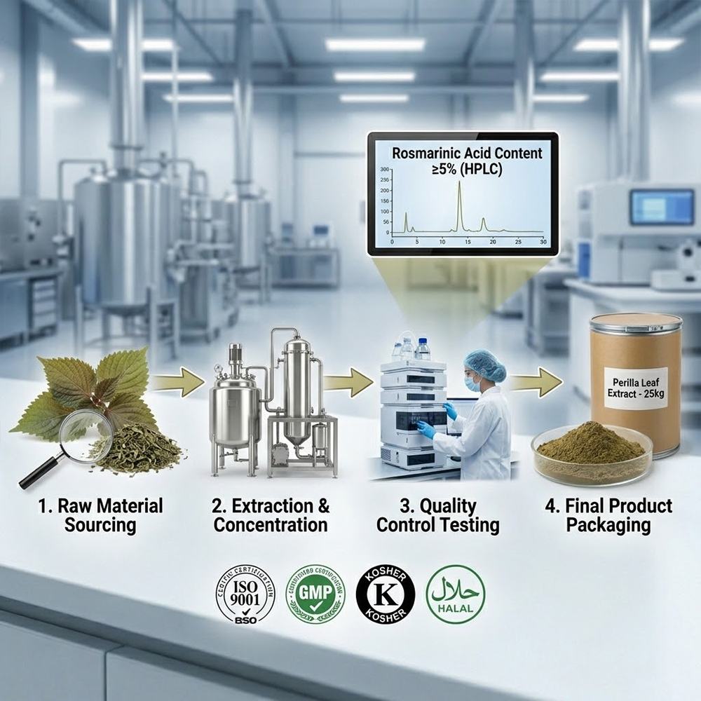Perilla Leaf Extract product detail image 5