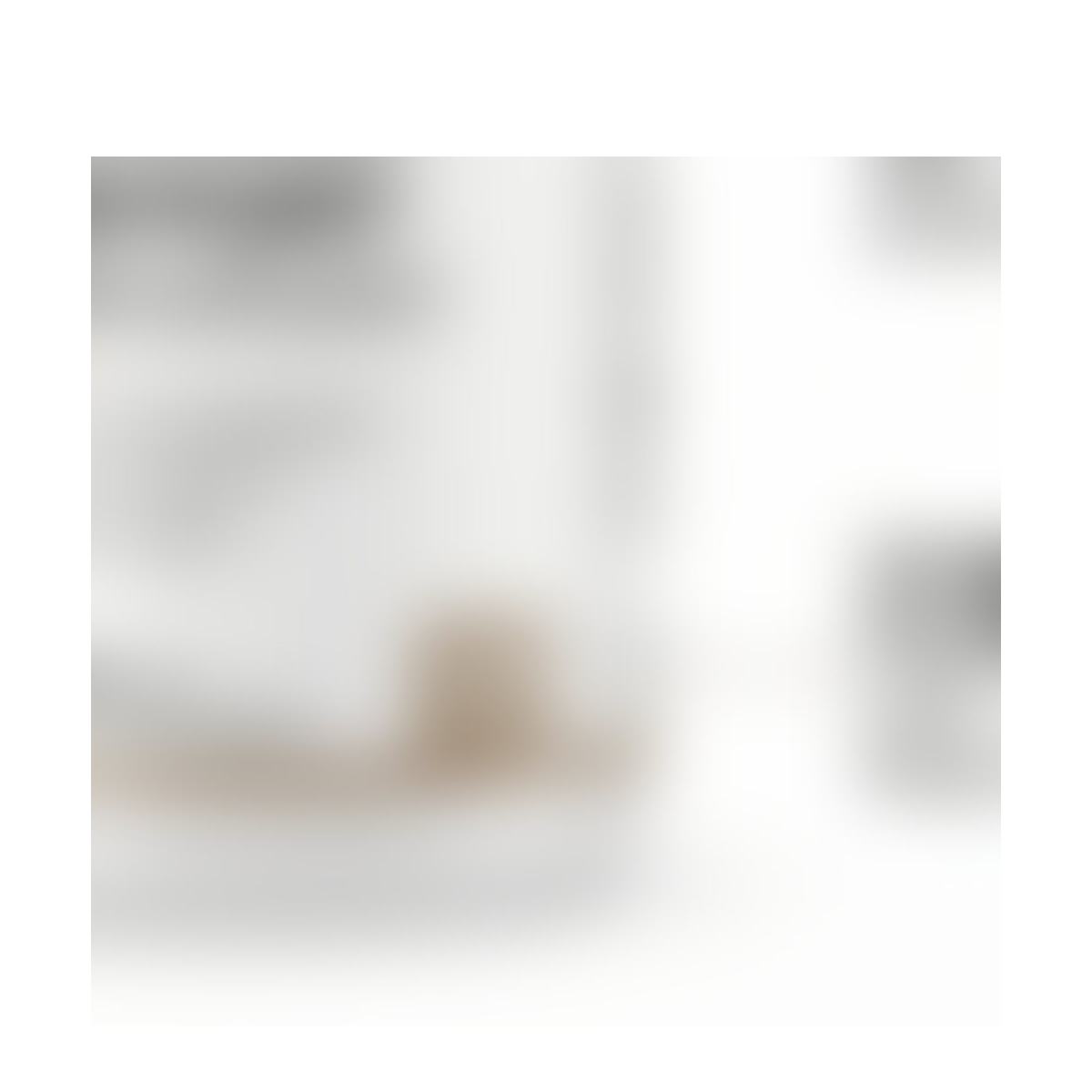 Daily Botanical Nutrient Capsules product detail image 5