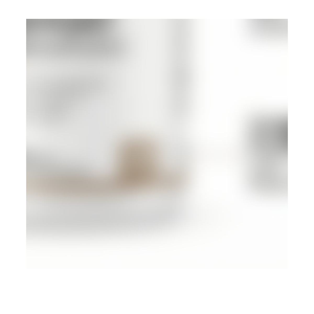 Daily Botanical Nutrient Capsules product detail image 6