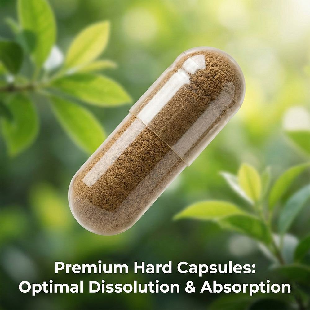Liver care2 product detail image 4