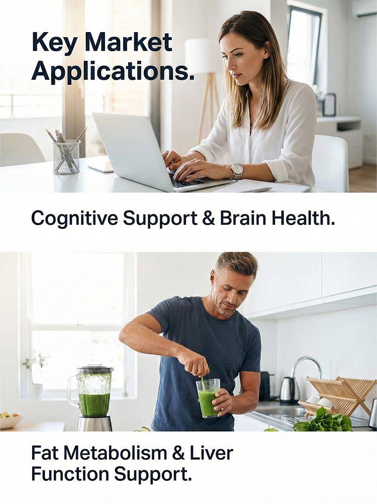 Non-GMO lecithin product detail image 8