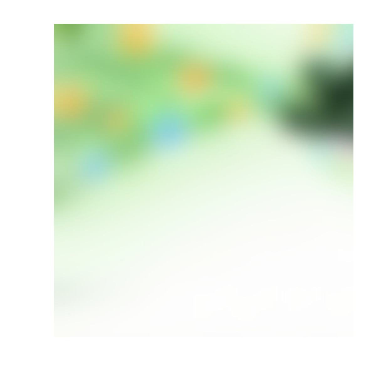 Botanical Nutrient Formula product detail image 3