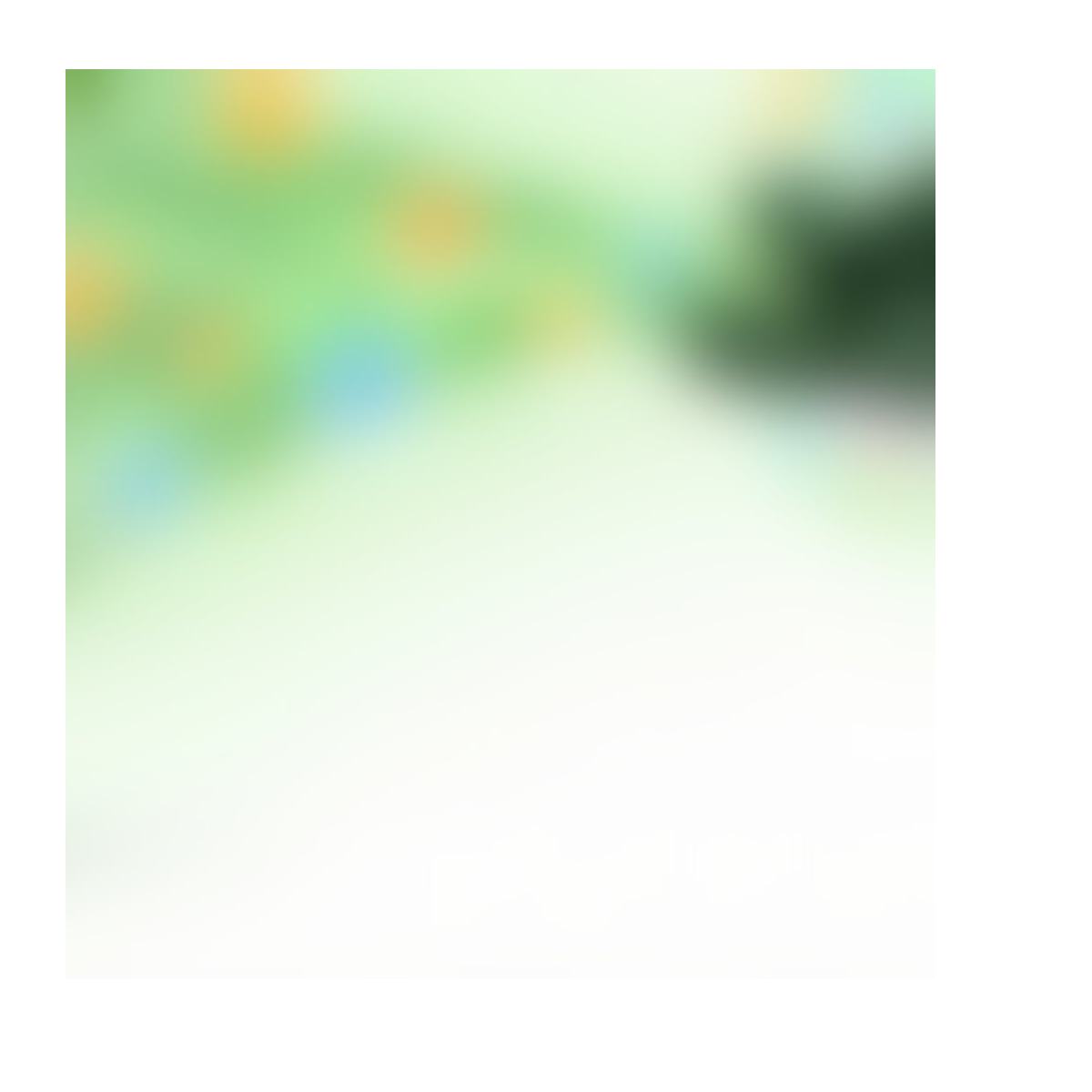 Botanical Nutrient Formula product detail image 4
