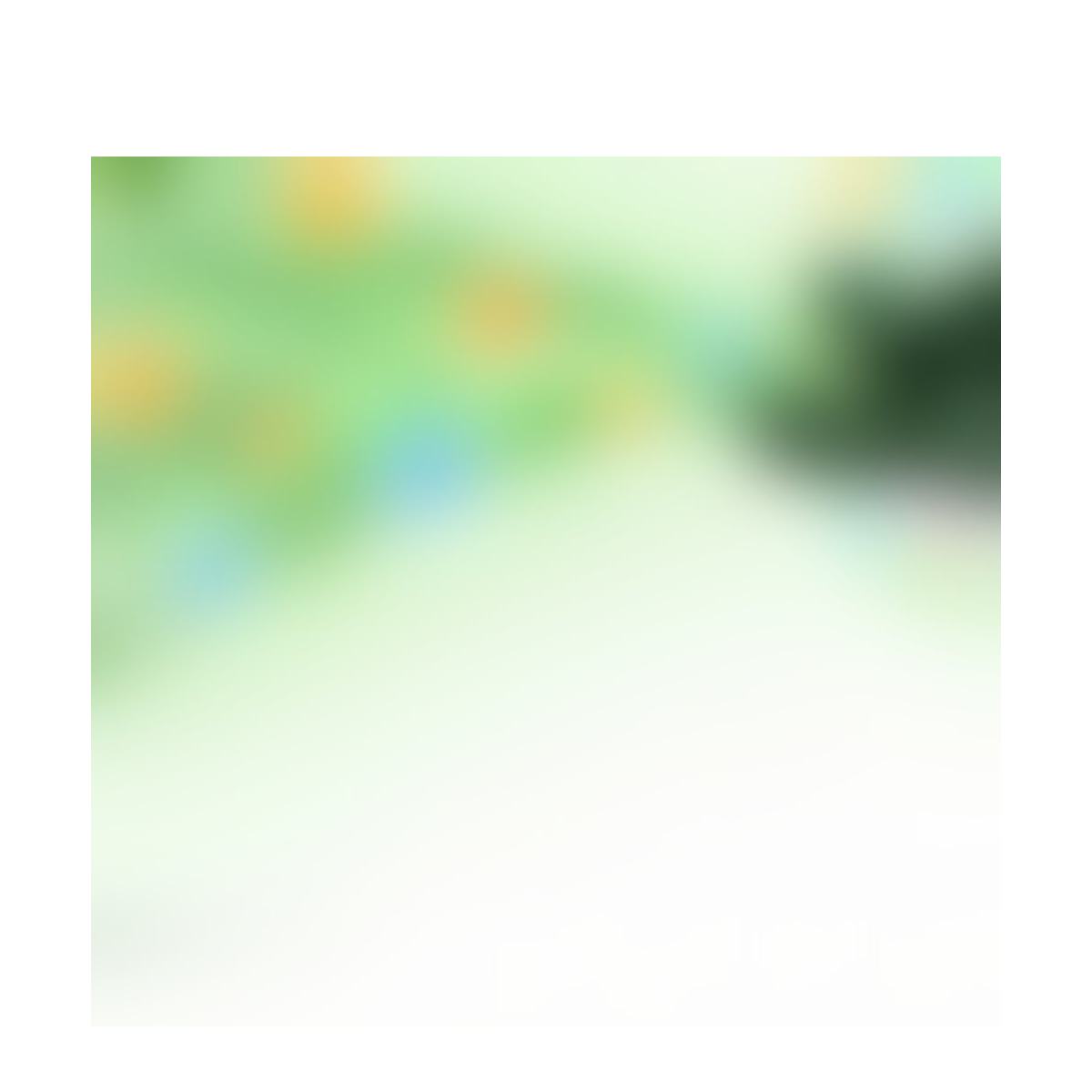 Botanical Nutrient Formula product detail image 5